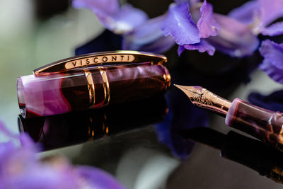 Visconti Homo Sapien - Iris Garden - Fountain Pen