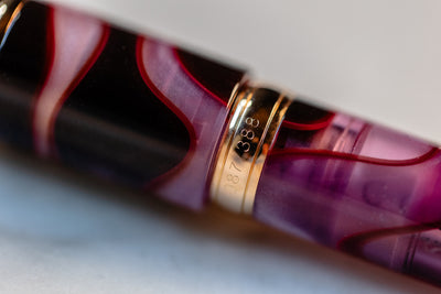 Visconti Homo Sapien - Iris Garden - Fountain Pen