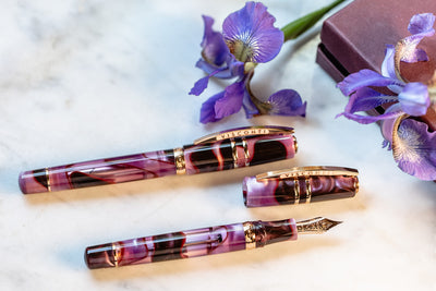 Visconti Homo Sapien - Iris Garden - Fountain Pen