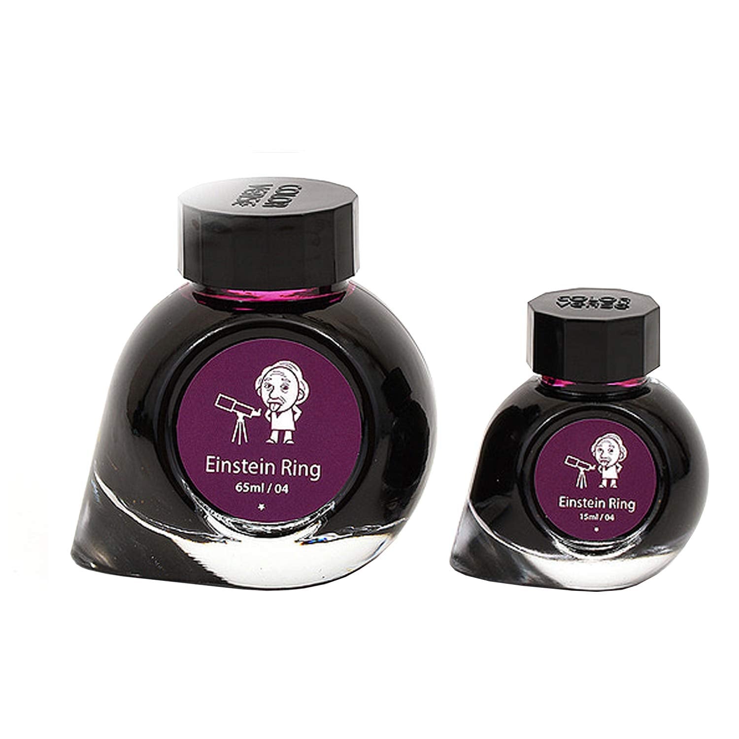 Colorverse Bottled Ink 65ml + 15ml Einstein Ring | Pen Place | Pen ...