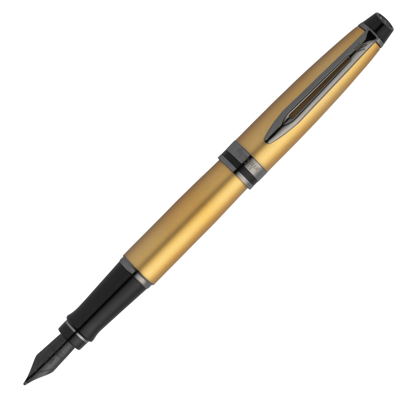Waterman Expert Metallic Gold Fountain Pen | Pen Store | Pen Place